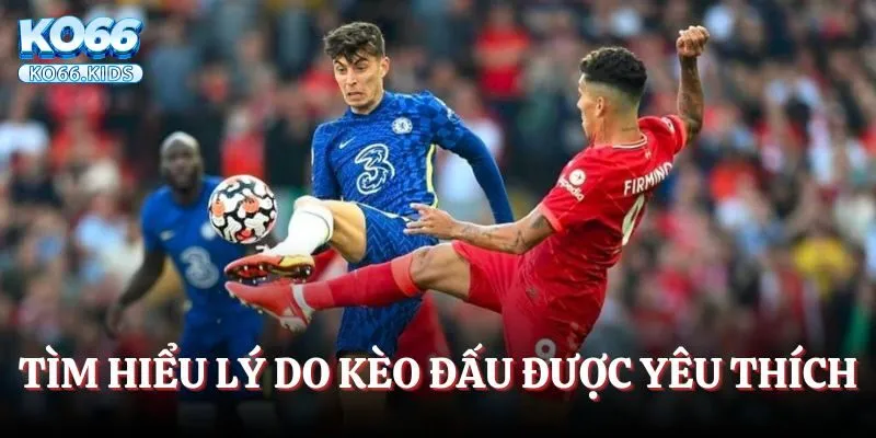 Kèo Thơm Là Gì? Cách Nhận Biết & Bí Kíp Đầu Tư Chuẩn Nhất 3 Tìm hiểu lý do kèo đấu này được yêu thích